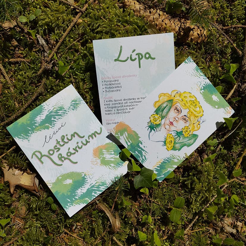 Poznávací karty - Léčivé Rostlinkárium